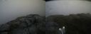 ./images/calvert/buxton2/20190617/buxton220190617_082953M.jpg