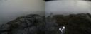 ./images/calvert/buxton2/20190617/buxton220190617_091953M.jpg