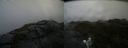 ./images/calvert/buxton2/20190617/buxton220190617_103953M.jpg