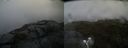 ./images/calvert/buxton2/20190617/buxton220190617_105953M.jpg