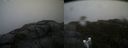 ./images/calvert/buxton2/20190617/buxton220190617_123453M.jpg