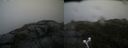 ./images/calvert/buxton2/20190617/buxton220190617_152453M.jpg
