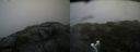 ./images/calvert/buxton2/20190617/buxton220190617_152953M.jpg