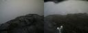 ./images/calvert/buxton2/20190617/buxton220190617_162453M.jpg