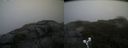 ./images/calvert/buxton2/20190617/buxton220190617_191453M.jpg