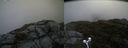 ./images/calvert/buxton2/20190618/buxton220190618_093953M.jpg
