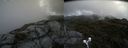 ./images/calvert/buxton2/20190618/buxton220190618_103453M.jpg