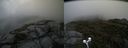 ./images/calvert/buxton2/20190618/buxton220190618_104953M.jpg