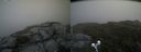 ./images/calvert/buxton2/20190618/buxton220190618_110953M.jpg