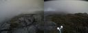 ./images/calvert/buxton2/20190618/buxton220190618_171453M.jpg