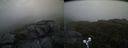 ./images/calvert/buxton2/20190618/buxton220190618_201453M.jpg