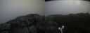 ./images/calvert/buxton2/20190618/buxton220190618_204453M.jpg