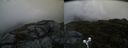 ./images/calvert/buxton2/20190618/buxton220190618_205953M.jpg