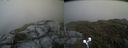 ./images/calvert/buxton2/20190619/buxton220190619_122453M.jpg