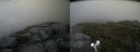 ./images/calvert/buxton2/20190619/buxton220190619_123453M.jpg