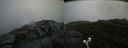 ./images/calvert/buxton2/20190619/buxton220190619_135953M.jpg