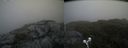 ./images/calvert/buxton2/20190619/buxton220190619_142453M.jpg