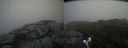 ./images/calvert/buxton2/20190619/buxton220190619_144453M.jpg