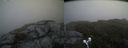 ./images/calvert/buxton2/20190619/buxton220190619_145453M.jpg