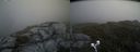 ./images/calvert/buxton2/20190619/buxton220190619_151453M.jpg