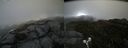 ./images/calvert/buxton2/20190619/buxton220190619_180454M.jpg
