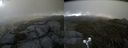 ./images/calvert/buxton2/20190619/buxton220190619_181953M.jpg