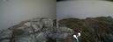./images/calvert/buxton2/20190621/buxton220190621_144453M.jpg