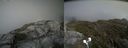 ./images/calvert/buxton2/20190621/buxton220190621_152453M.jpg