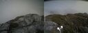 ./images/calvert/buxton2/20190621/buxton220190621_152952M.jpg