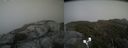 ./images/calvert/buxton2/20190621/buxton220190621_172453M.jpg