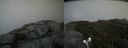 ./images/calvert/buxton2/20190621/buxton220190621_172952M.jpg