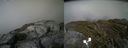 ./images/calvert/buxton2/20190621/buxton220190621_181953M.jpg
