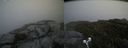 ./images/calvert/buxton2/20190621/buxton220190621_184953M.jpg