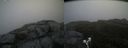 ./images/calvert/buxton2/20190622/buxton220190622_104954M.jpg