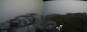 ./images/calvert/buxton2/20190622/buxton220190622_114454M.jpg