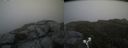 ./images/calvert/buxton2/20190622/buxton220190622_115953M.jpg