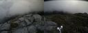 ./images/calvert/buxton2/20190622/buxton220190622_134954M.jpg