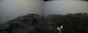 ./images/calvert/buxton2/20190622/buxton220190622_193453M.jpg