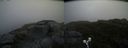 ./images/calvert/buxton2/20190622/buxton220190622_194453M.jpg