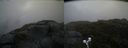 ./images/calvert/buxton2/20190622/buxton220190622_195453M.jpg