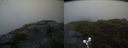 ./images/calvert/buxton2/20190622/buxton220190622_202953M.jpg