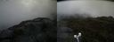 ./images/calvert/buxton2/20190622/buxton220190622_204453M.jpg
