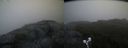 ./images/calvert/buxton2/20190622/buxton220190622_213953M.jpg