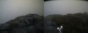 ./images/calvert/buxton2/20190623/buxton220190623_060953M.jpg