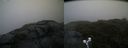 ./images/calvert/buxton2/20190623/buxton220190623_061452M.jpg