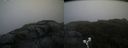 ./images/calvert/buxton2/20190623/buxton220190623_063953M.jpg