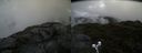 ./images/calvert/buxton2/20190623/buxton220190623_091952M.jpg