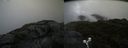 ./images/calvert/buxton2/20190623/buxton220190623_093953M.jpg