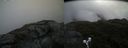 ./images/calvert/buxton2/20190623/buxton220190623_095952M.jpg