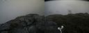 ./images/calvert/buxton2/20190623/buxton220190623_101452M.jpg